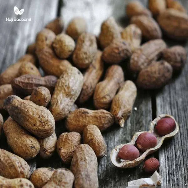 بادام زمینی آجیل مغذی