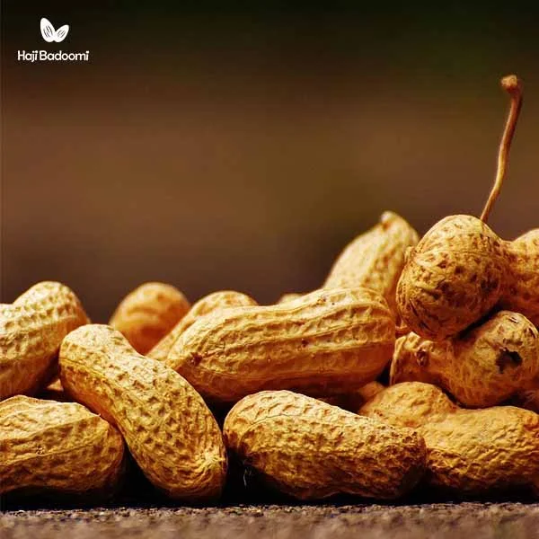 بادام زمینی سرشار از چربیهای غیراشباع