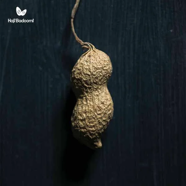 بادام زمینی در چین