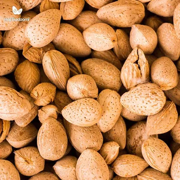 قیمت بادام درختی تلخ
