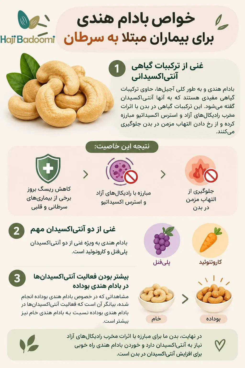 فواید بادام هندی برای سرطان
