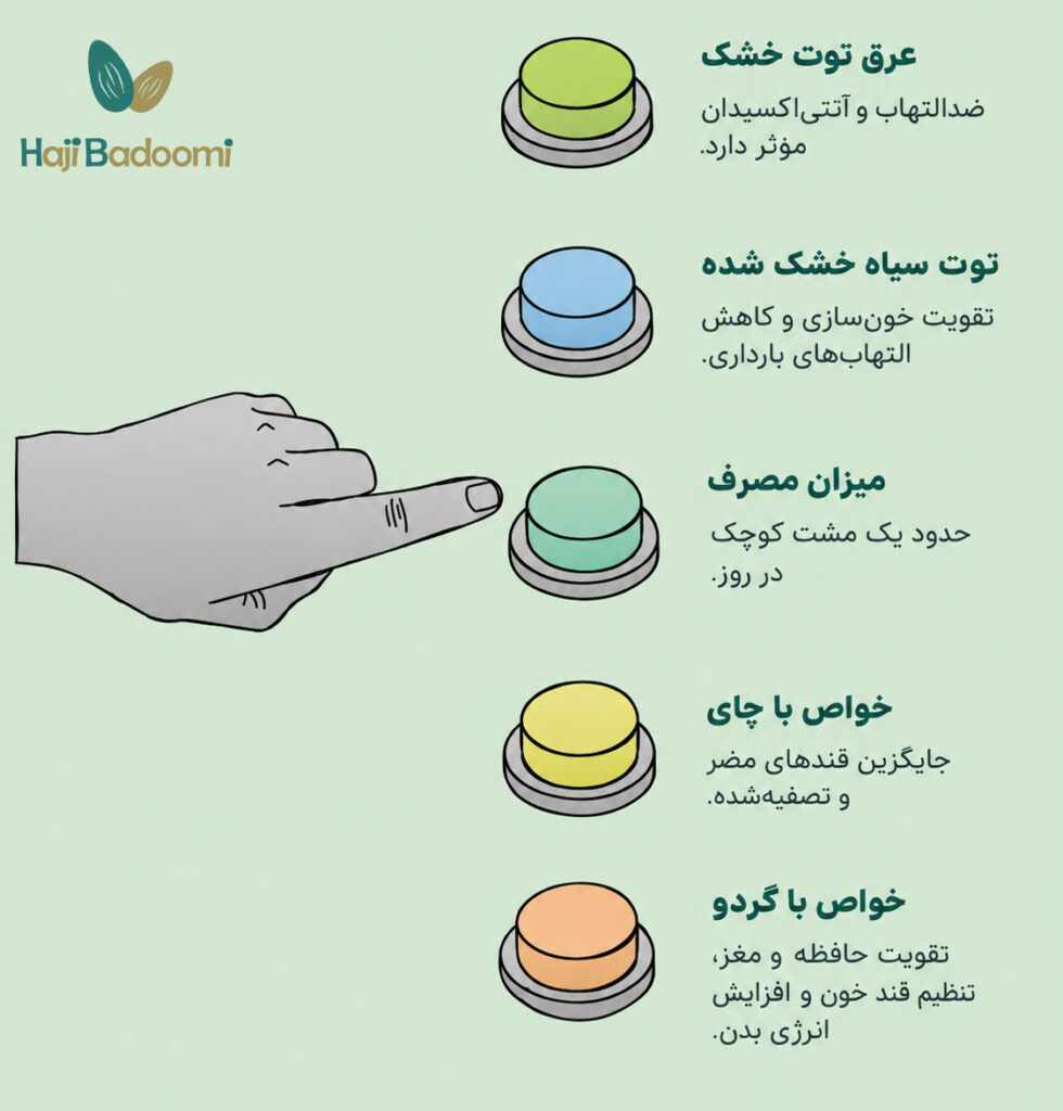فواید های توت خشک شده
