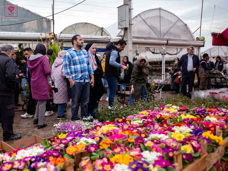 ساعت کاری بازار گل محلاتی در ایام نوروز