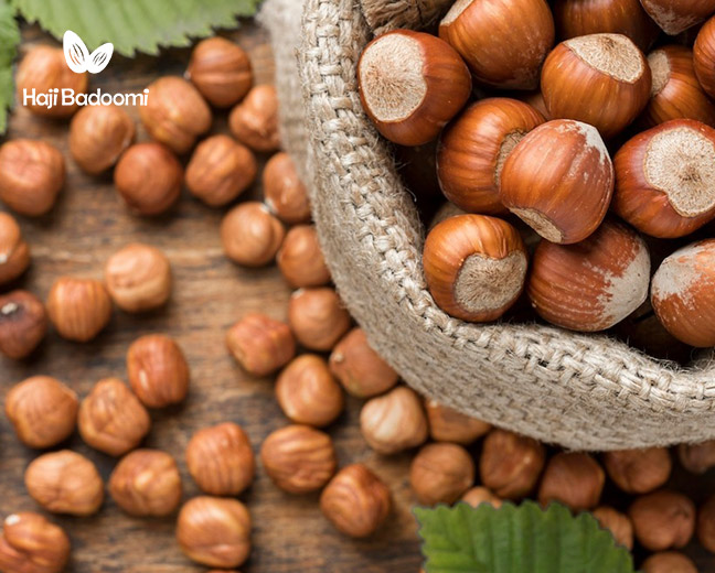 فندق از گران ترین مغزهای جهان
