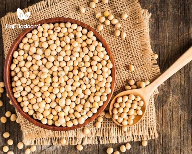 خواص آجیل سویا