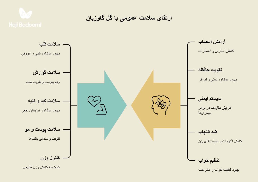 فواید دمنوش گل گاو زبان