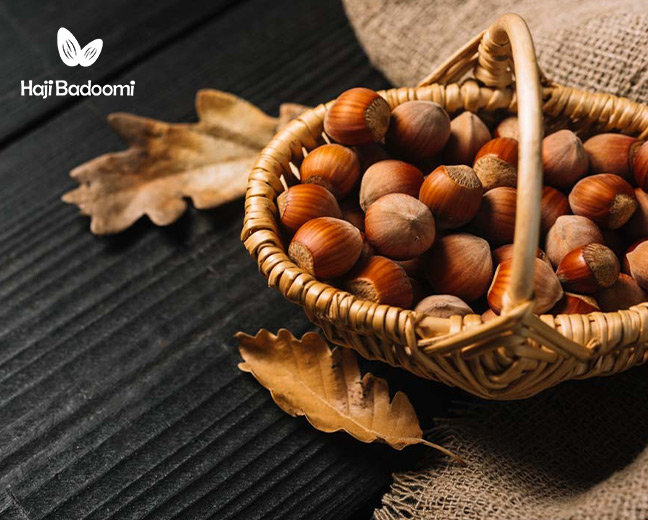 خواص قندق در پیشگیری و درمان سرطان