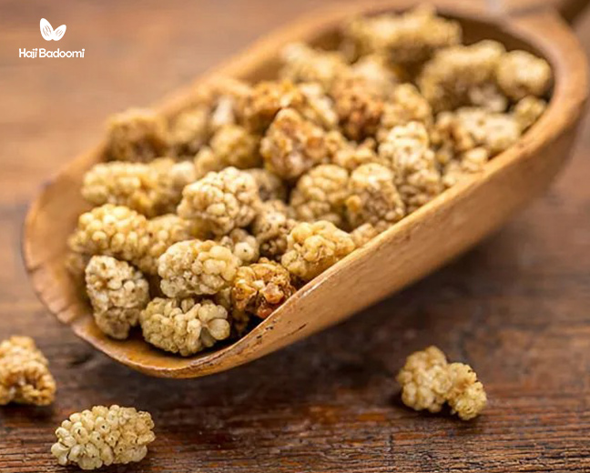 ترکیب توت خشک با ماست برای کاهش اشتها