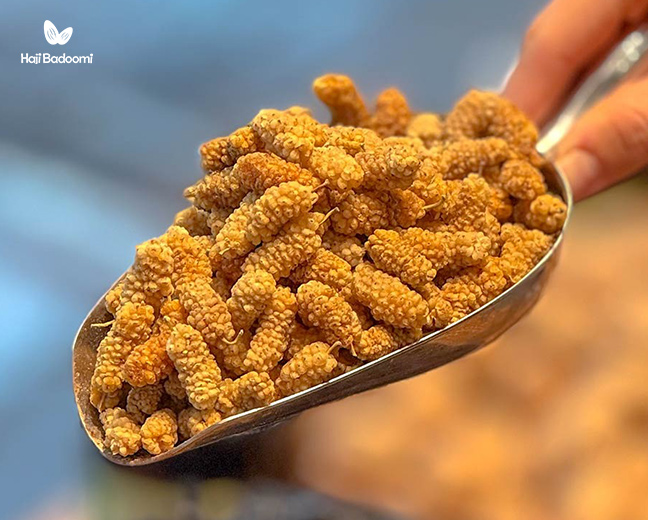 خواص توت خشک 