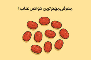 خواص عناب: 32 خاصیت طلایی برای سلامتی + بهترین زمان مصرف