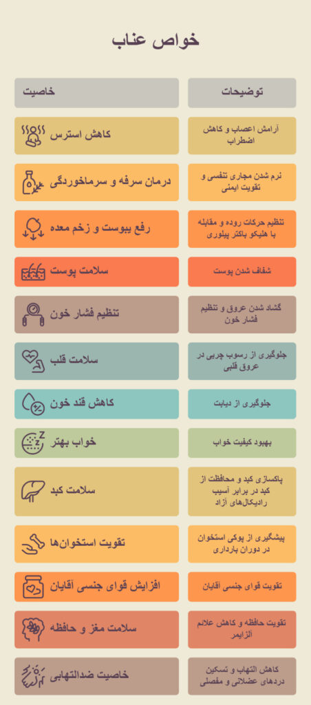 عناب برای چی خوبه؟