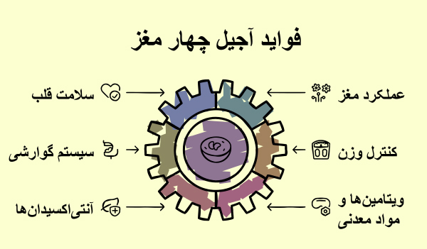 خواص آجیل چهار مغز چیست