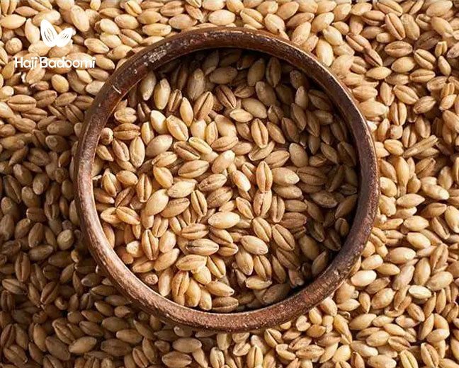 13. دانه جو از دانه های مغذی برای رژیم