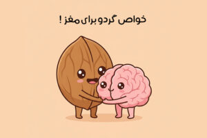 walnut-benefits-for-brain