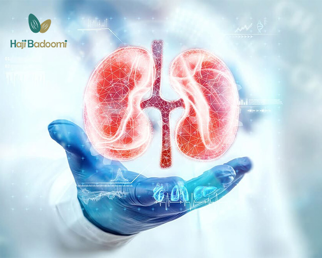 نحوه مصرف زنیان و گردو برای کلیه