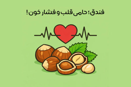 خواص فندق برای فشار خون: فندق و کنترل فشار خون + نحوه مصرف