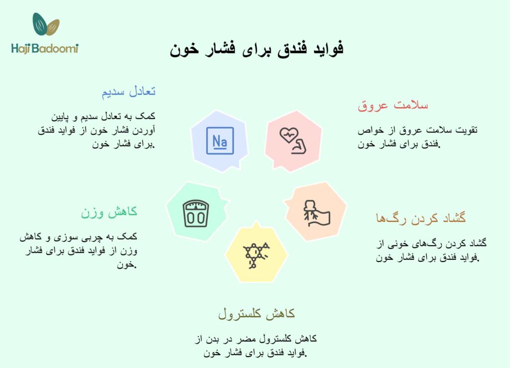 فواید فندق برای فشار خون