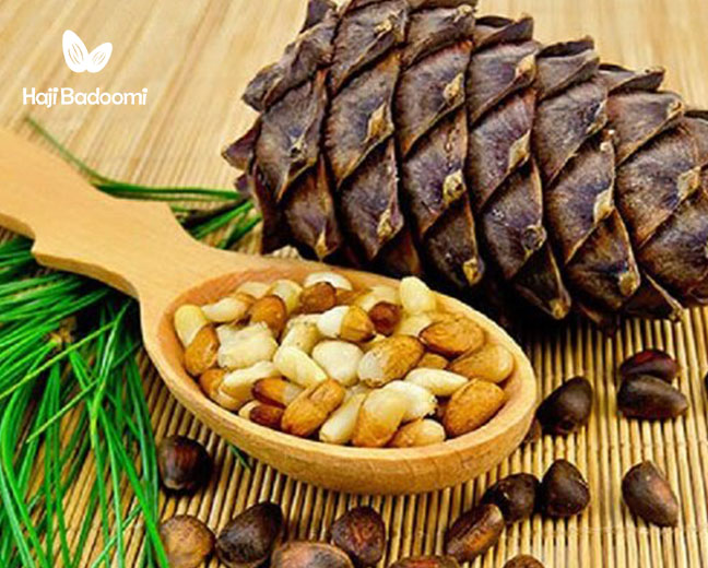 8. طبع چلغوز