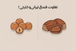 تفاوت-فندق-ایرانی-و-خارجی-چیست-فندق-ایرانی-بهتر-است-یا-وارداتی؟
