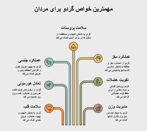 مهمترین خواص گردو برای مردان