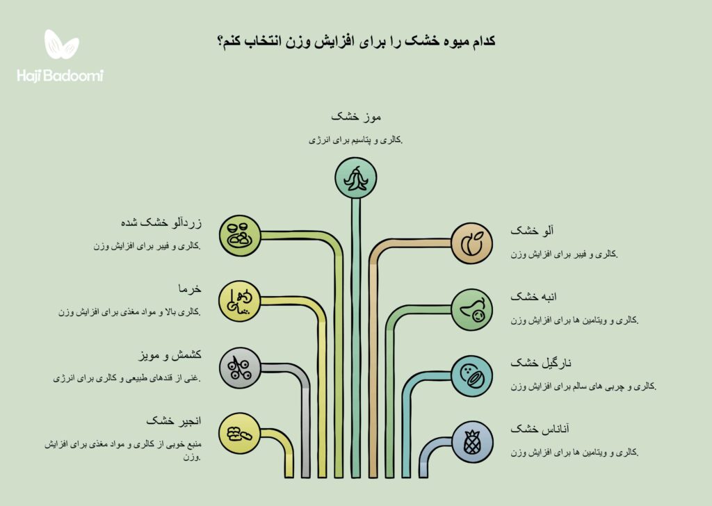 میوه خشک های مناسب افزایش وزن