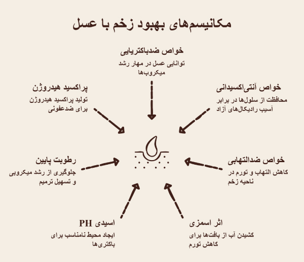 نقش عسل در بهبود زخم
