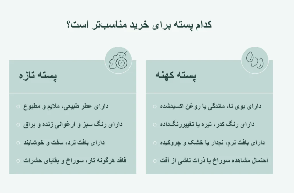 راه های تشخیص پسته تازه از کهنه