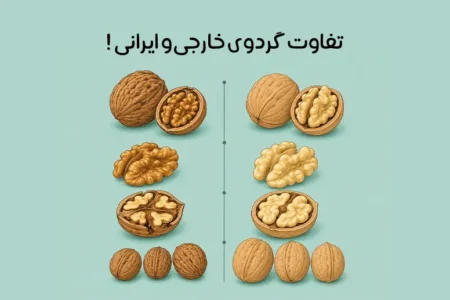تفاوت گردوی ایرانی و خارجی: کدام نوع گردو بهتر است؟
