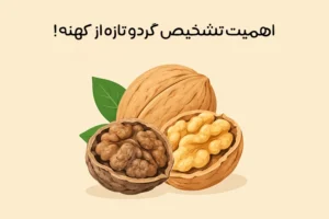 تشخیص گردو تازه از کهنه؛ تفاوت گردوی تازه و کهنه چیست؟