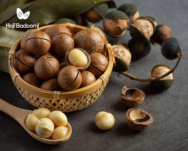 فندق برزیلی