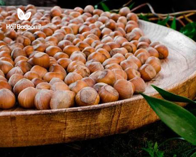 فواید فندق برای بانوان