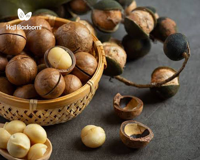 افزودن فندق به رژیم غذایی