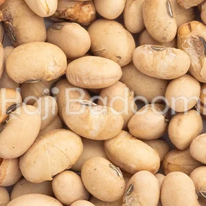 سویا آجیلی درجه یک