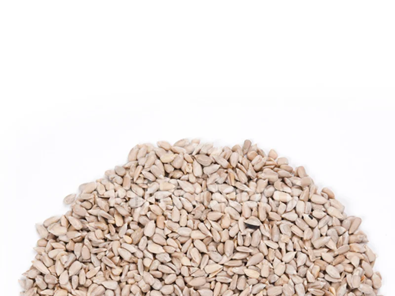 راهنمای خرید مغز تخمه آفتابگردان خام اعلا از آجیل فروشی حاجی بادومی