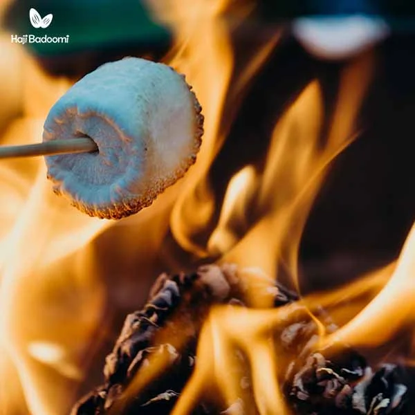 روش‌های مصرف مارشمالو: 1. مارشمالو کبابی