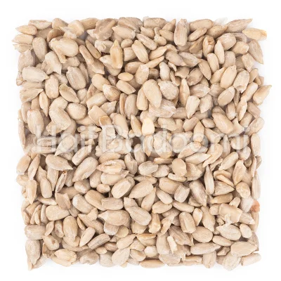 مغز تخمه آفتابگردان شور ممتاز