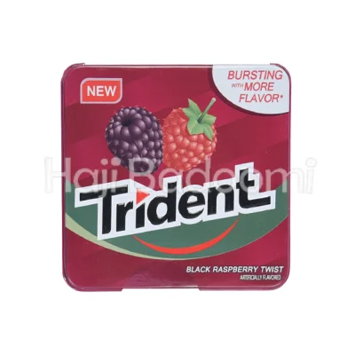 آدامس تریدنت فلزی با طعم تمشک سیاه 35 گرمی