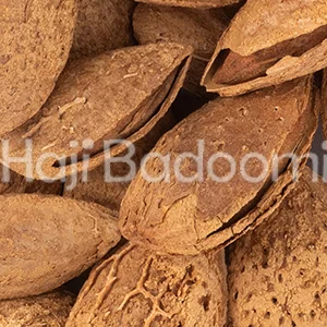 بادام درختی پوست کاغذی منقا خام خارجی