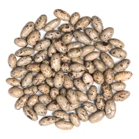 دراژه کشمشی با روکش شکلات تلخ