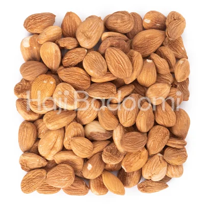 هسته زردآلو خام