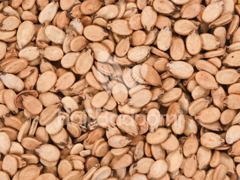 از تخمه محبوبی خام اعلا و خواص بی نظیر آن غافل نشوید