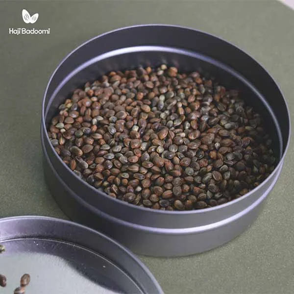 شاهدانه برای پرندگان