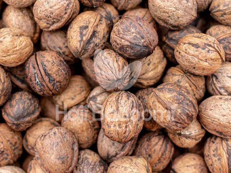 خواص منحصر به فرد گردو با پوست کاغذی کیفیت معمولی