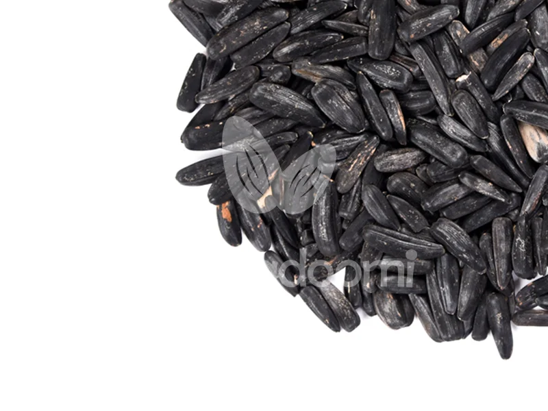 نمایی از تخمه آفتابگردان خام اعلا