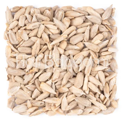 مغز تخمه آفتابگردان خام درجه یک