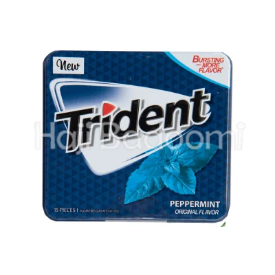 آدامس تریدنت فلزی با طعم نعنا تند 35 گرمی