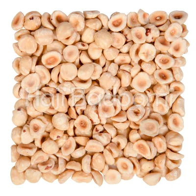 فندق شکسته سفید