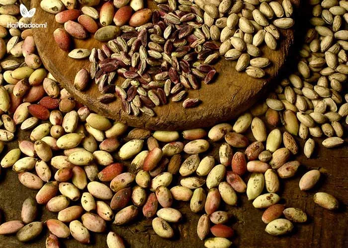 خرید پسته از فروشگاه اینترنتی حاجی بادومی