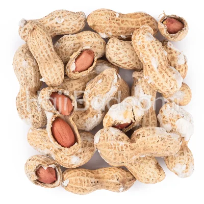 بادام زمینی با پوست شور درجه یک