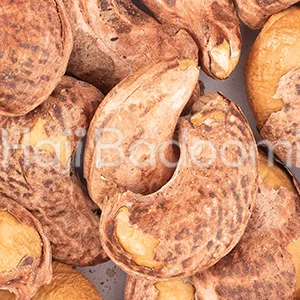 بادام هندی 180 با پوست شور